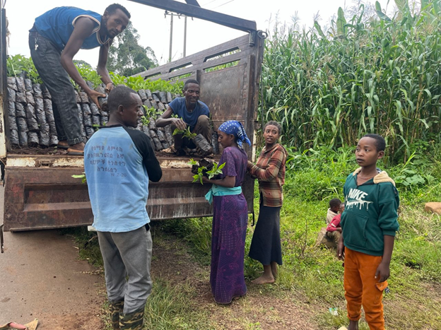 Ethiolatin Coffee tweet media