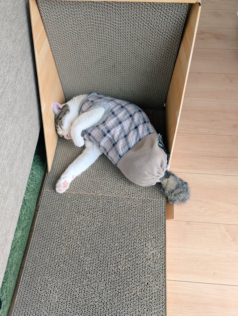 最近ここに落ちてることが多い