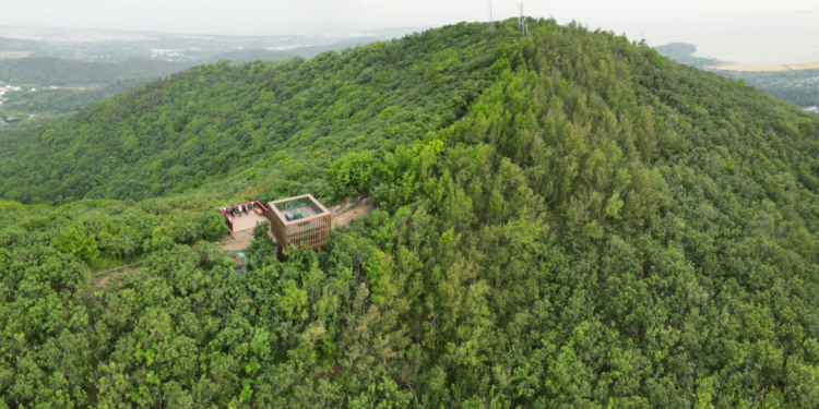 InnovativeBinhu's tweet photo. Exciting discovery: A new bird has been spotted in Wuxi's Binhu district! Recently, a red-footed booby, a protected species at the national second class, was seen on Junzhang Mountain within the district.

This bird, known for its bright red feet and colorful feathers, thrives in tropical waters worldwide.

Junzhang Mountain is a top bird-watching spot in Wuxi, and a dedicated raptor conservation program was launched in May to monitor and protect the local wildlife. 

Read more: https://t.co/VcZ9I2avGp
