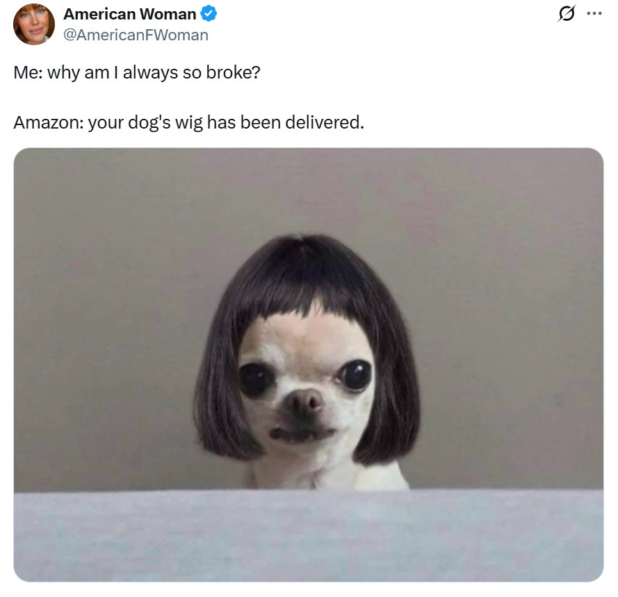 cfm_sol's tweet photo. $wig 60k now dyor

CA:CrHFdtRXatH4zZCBxanKVosZ9S2YniEiHDBEr57gbonk

gmgn:https://t.co/xJuIfnWqWC

axiom:https://t.co/s3tnbwlwSp 

Token Narrative:American Woman posted a tweet that humorously expresses self-mockery about impulsive purchases of pet products (such as wigs for dogs), while simultaneously reflecting the modern pet culture phenomenon of pet owners excessively spoiling their pets and the amplifying effect of social media. The image of a Chihuahua wearing a wig is inherently comedic, and when combined with the text and replies, it showcases the lighthearted attitude of pet owners who spare no expense in entertaining themselves and their pets

Through exaggeration and irony, it conveys self-reflection on impulsive consumption behavior

The tweets were viewed a lot so I bought some lottery tickets.