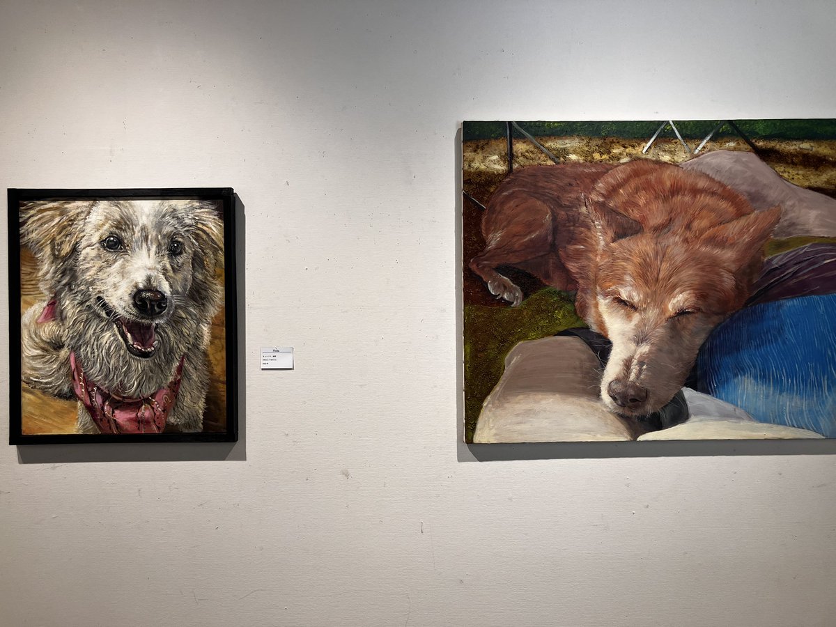 個展開催中です！
2025/7/29（火）〜8/5（日）会期中休館無し
10:00〜18:00まで【13:15〜14:00はスタッフ休憩のため閉館】
場所:SOJO GALLELY
  熊本市中央区花畑町10-25 
　　ダイワロイネットホテル熊本1F
TEL.096-288-0801
ぜひご来場下さい！

#SOJOGALLERY #展覧会　#exhibition