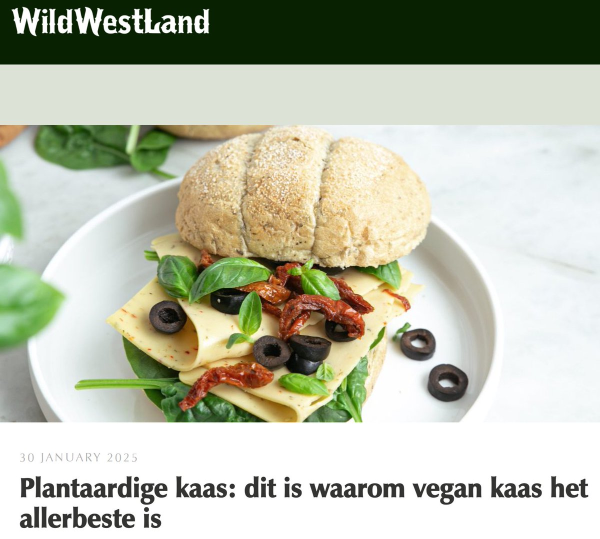 De koe is niet nodig voor kaas. Ook bestaande bedrijven snappen dat, zoals Westland Kaas in combinatie met een "no-cow mentaliteit" laten ze zien dat het kan.  wildwestland.com/2025/01/30/pla…  #hetkanwel #Westland #WildWestLand