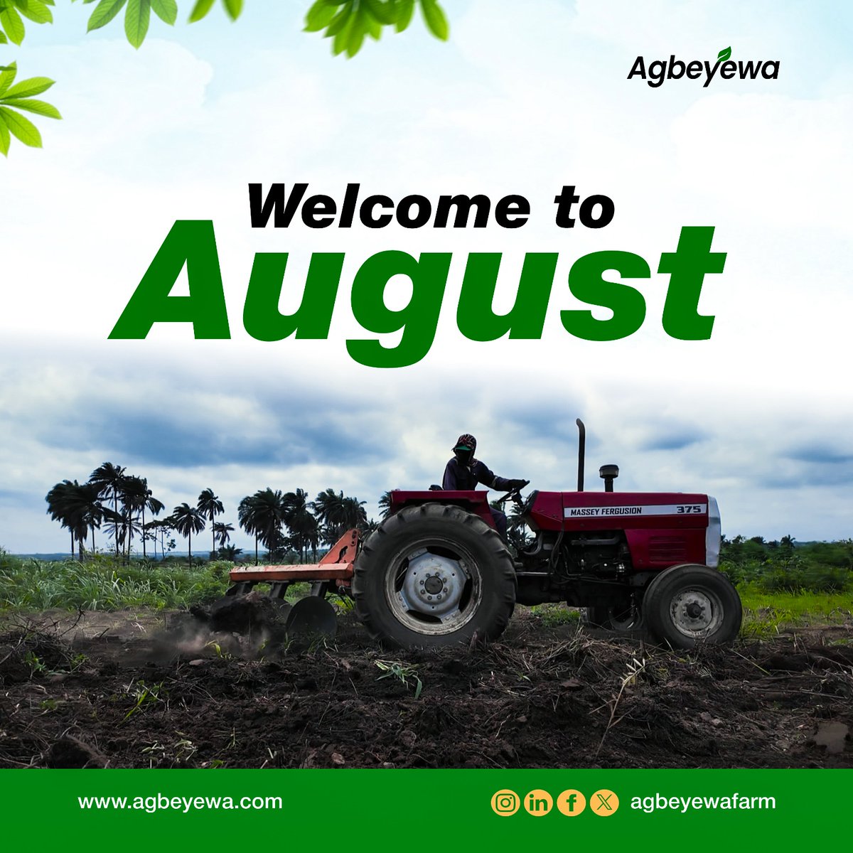 A new month brings new possibilities, fresh energy, and renewed purpose.
We welcome you to a month of growth and golden opportunities.