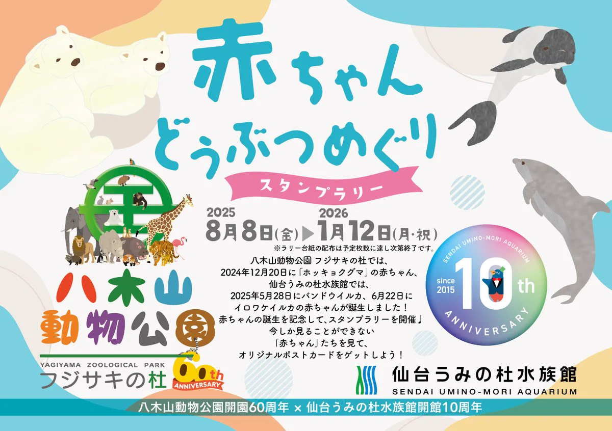 仙台うみの杜水族館公式 on X: 