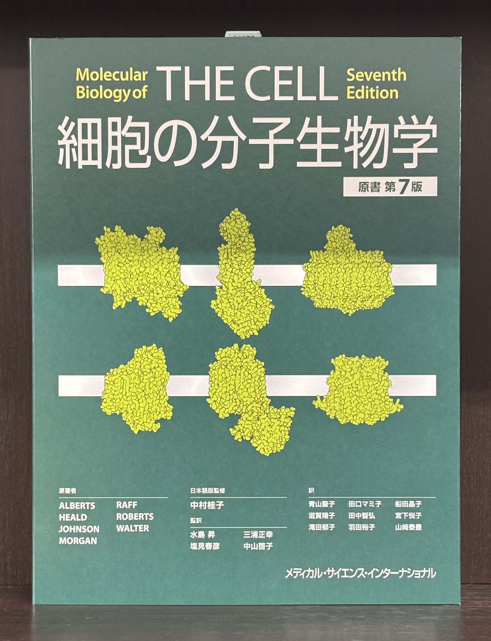 ヒトの分子遺伝学　英語版 ワトソン遺伝子の分子生物学 第5版 | James D.Watson, 滋賀 陽子