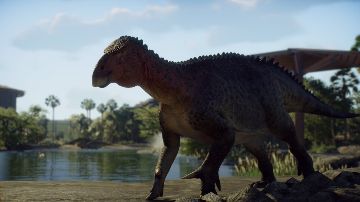 RaptorDelta tweet media