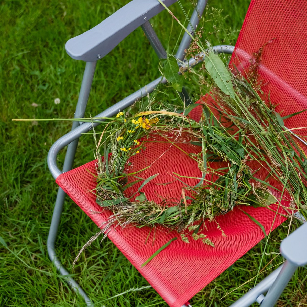 Lewis Bush tweet media