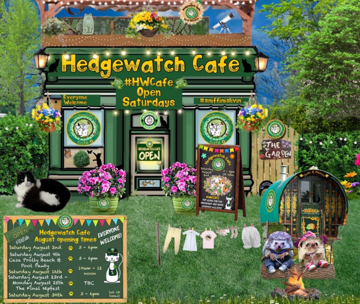#Hedgewatch #HWCafe #SuperSeniorCatsClub