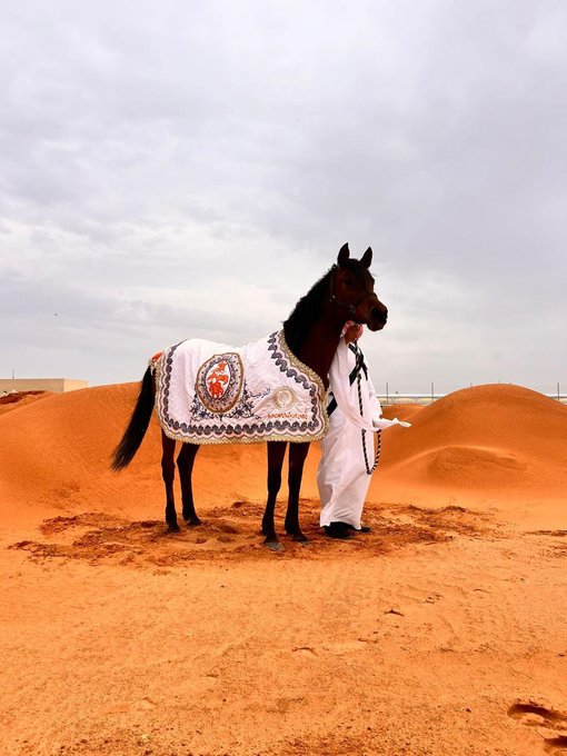 رحلة في عبق التراث.. المصممة مها السبيعي تمزج بين أزياء الخيل والأناقة التقليدية السعودية بأسلوب معاصر 