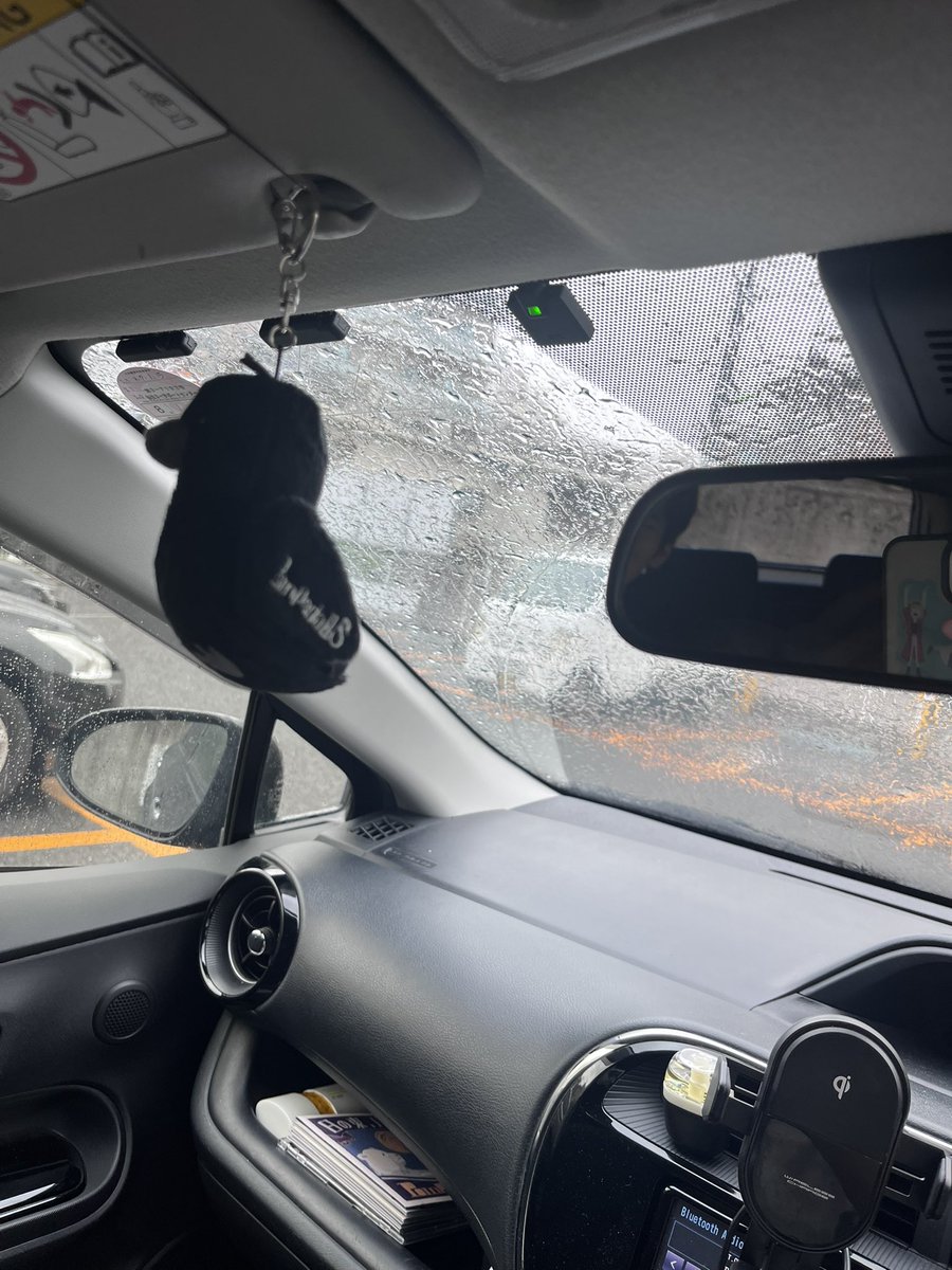 ぴーちゃんお出迎え‼︎