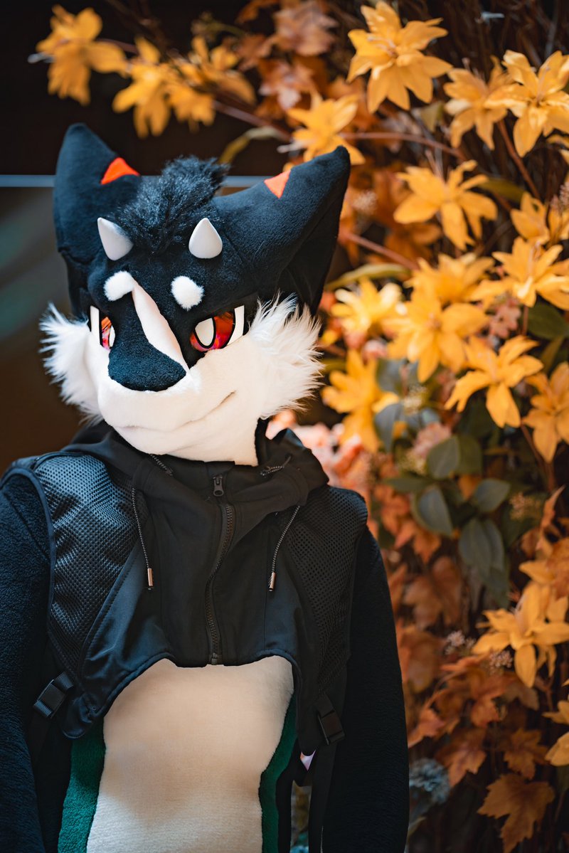 🍂🍁

📸:<a href="/BenzaiWolfx0v0/">奔仔 | ベンザイ@Twitch VT</a> 

#fursuitfriday