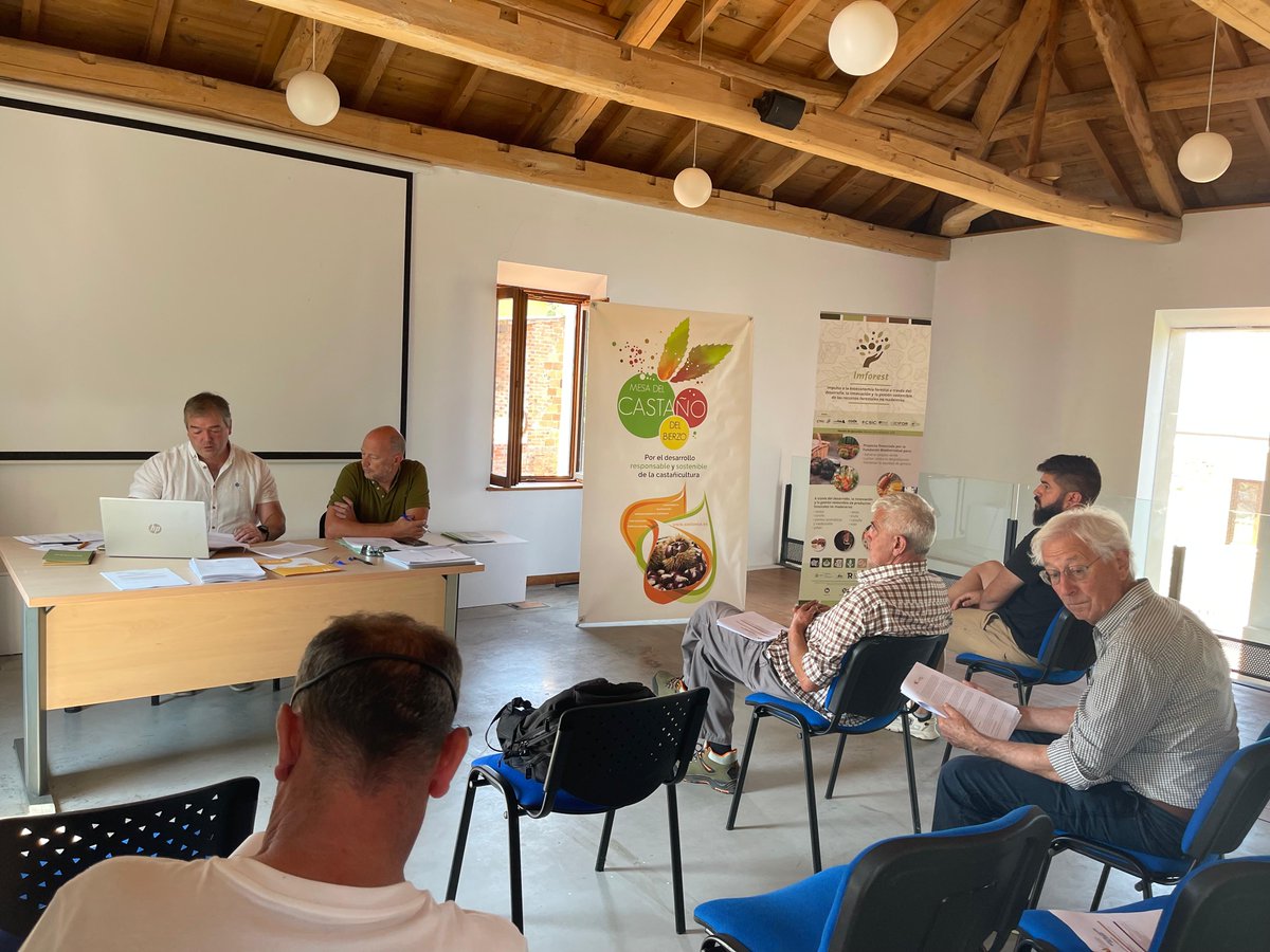 Imforest_PFNM's tweet image. Ayer se reunió la #MesaDelCastaño del Bierzo en Borrenes (León). En la agenda: lucha contra la avispilla y Gnomoniopsis, proyectos #NextGenerationEU y el Living Lab #IMFOREST. 🌱 Compromiso con el futuro del castaño como motor rural. #Castanea #ProyectosPRTR #CastañoDelBierzo