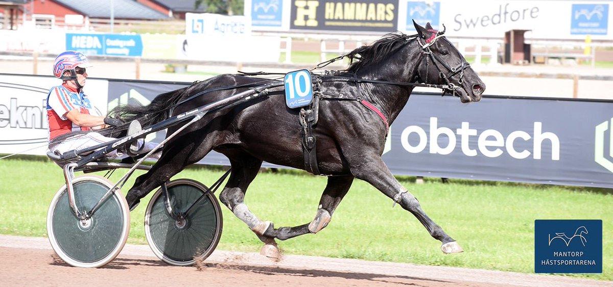 Kopierade sin mammas seger!

Nästan på dagen för 21 år sedan vann stoet Kings Blondie Hästägarepokalen. I onsdags på Mantorp Hästsportarena var det sonen King Of Everything (bilden) som vann Hästägarepokalen.
Läs mer på: mantorphastsportarena.se/nyheter/kopier…