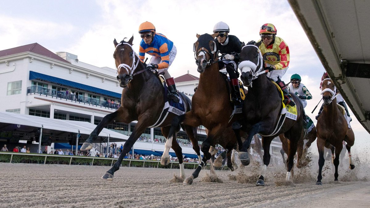 AlfonsoRodriguezVera tweet media