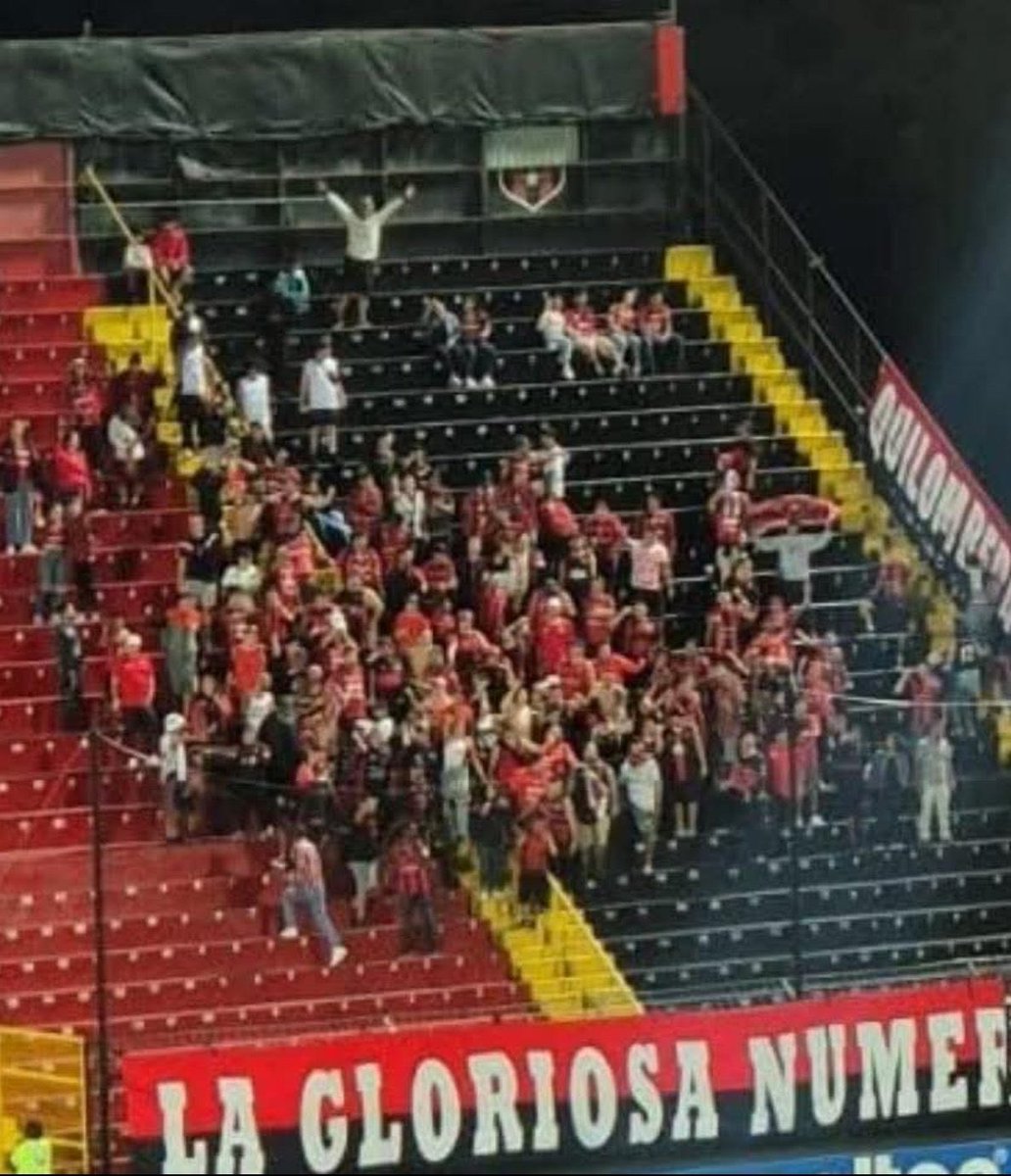 Sapriposting tweet media