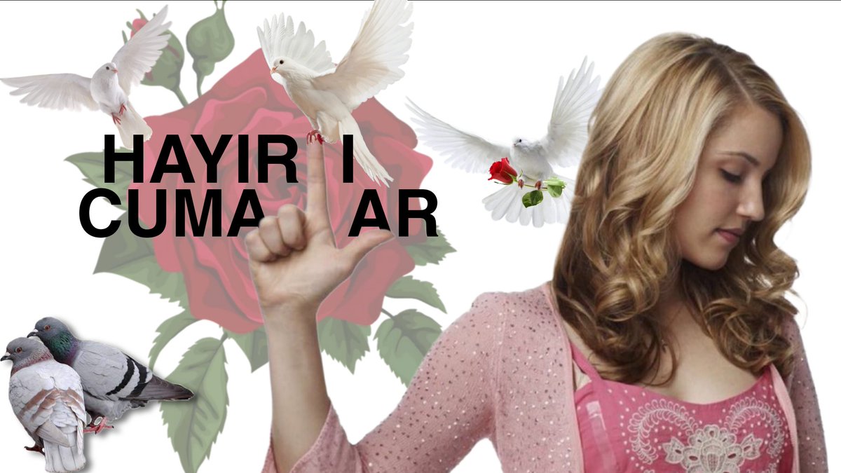 interdisipliner (@mendempol) on Twitter photo 