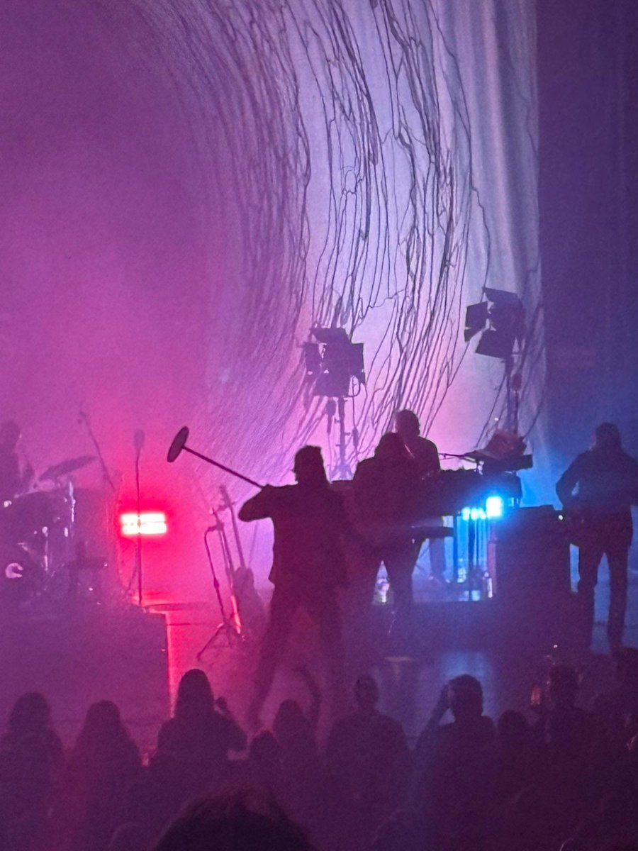 Niall Fields tweet media