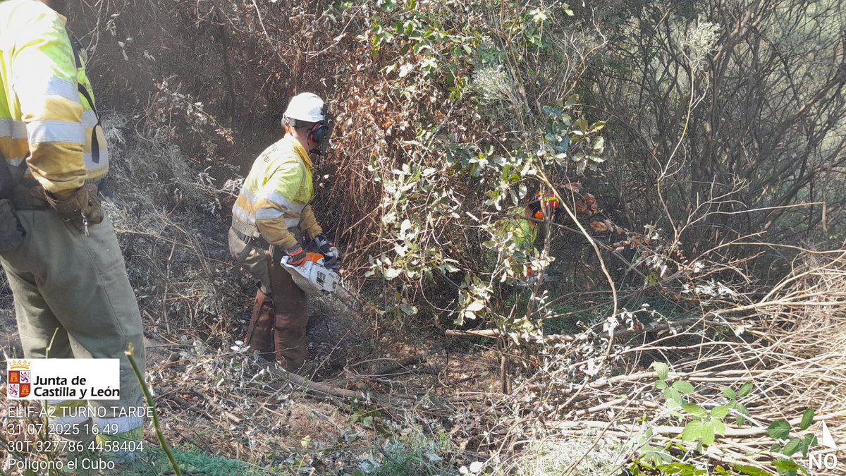 naturalezacyl's tweet photo. @jcyl Amanece en el #IFCuevasDelValle, noche tranquila, de mucho y productivo trabajo de perimetraje y enfriamiento de las zonas calientes.
No hay reproducciones. Se han realizado los relevos y los entrantes ya están trabajando en el #IIFF https://t.co/G0Ctp9IqkQ https://t.co/MsisImwFdc