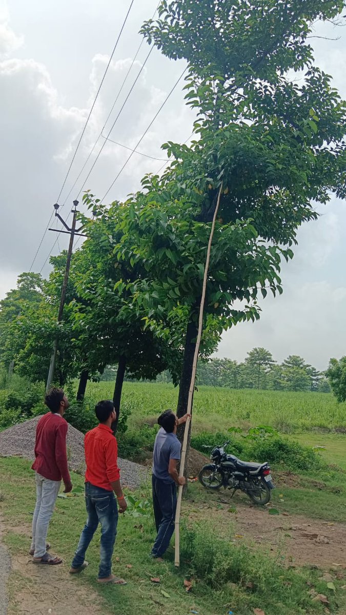 MVVNL LAKHIMPUR (@edclakhimpur) on Twitter photo рд╡рд┐рджреНрдпреБрдд рд╡рд┐рддрд░рдг рдЦрдгреНрдб рдирд┐рджреНрдпрд╛рд╕рди рдореЗрдВ рдЙрдкрдХреЗрдВрдиреНрджреНрд░ рдмреЗрд▓реНрддреБрдЖ рдХреЗ 33 рдХреЗ0рд╡реА рд▓рд╛рдЗрди рдкрд░ рдкреЗрдб рдЫрдЯрд╛рдИ рдХрд╛ рдХрд╛рдо 9.15 рдмрдЬреЗ рд╕реЗ 12.15 рдмрдЬреЗ рддрдХ рд░реЛрд╕реНрдЯрд┐рдЧ рдЪрд▓ рд░рд╣реА рд╣реИред ред
<a href="/MVVNLHQ/">Madhyanchal Vidyut Vitran Nigam Limited</a> <a href="/MVVNLHQ/">Madhyanchal Vidyut Vitran Nigam Limited</a> <a href="/CMOfficeUP/">CM Office, GoUP</a> рд╡рд┐рджреНрдпреБрдд рд╡рд┐рддрд░рдг рдЦрдгреНрдб рдирд┐рджреНрдпрд╛рд╕рди рдореЗрдВ рдЙрдкрдХреЗрдВрдиреНрджреНрд░ рдмреЗрд▓реНрддреБрдЖ рдХреЗ 33 рдХреЗ0рд╡реА рд▓рд╛рдЗрди рдкрд░ рдкреЗрдб рдЫрдЯрд╛рдИ рдХрд╛ рдХрд╛рдо 9.15 рдмрдЬреЗ рд╕реЗ 12.15 рдмрдЬреЗ рддрдХ рд░реЛрд╕реНрдЯрд┐рдЧ рдЪрд▓ рд░рд╣реА рд╣реИред ред
<a href="/MVVNLHQ/">Madhyanchal Vidyut Vitran Nigam Limited</a> <a href="/MVVNLHQ/">Madhyanchal Vidyut Vitran Nigam Limited</a> <a href="/CMOfficeUP/">CM Office, GoUP</a>
