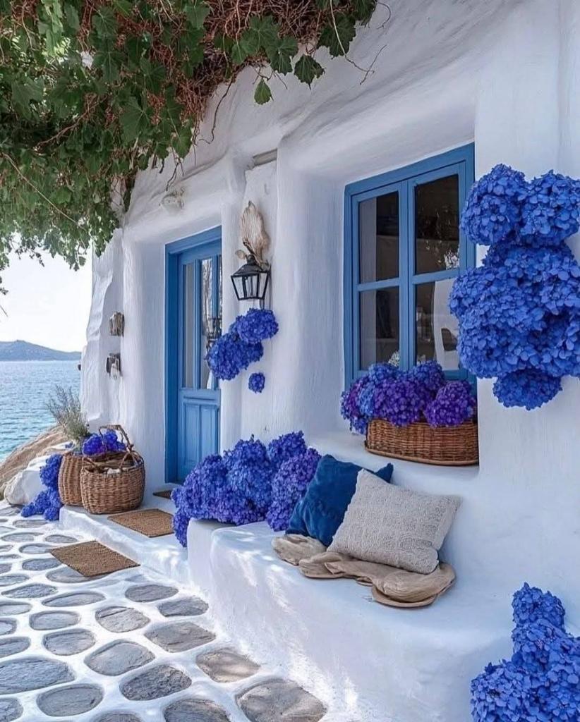 René Champion (@renechampion1) on Twitter photo 