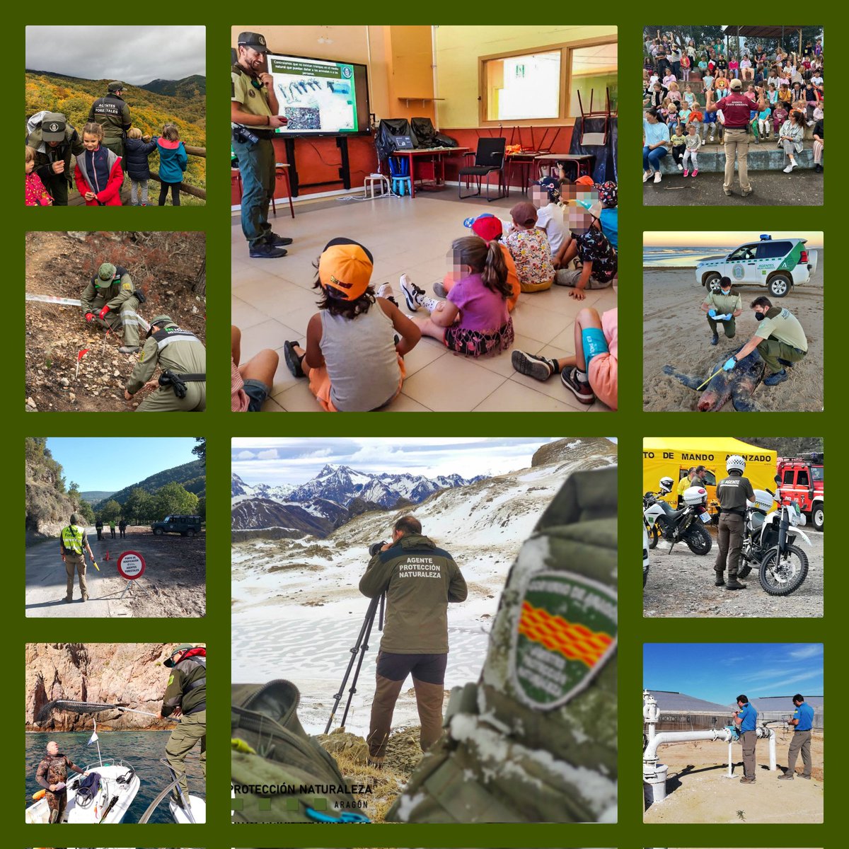 Tras el #WorldRangerDay agradecemos la muestras de afecto recibidas por la ciudadana, representantes políticos, organizaciones,efectivos de emergencias y seguridad.
Desde hace 148 años con ahínco patrullamos garantizando el Art.45 de la Constitución.
#OrgulloPolicíaMedioambiental