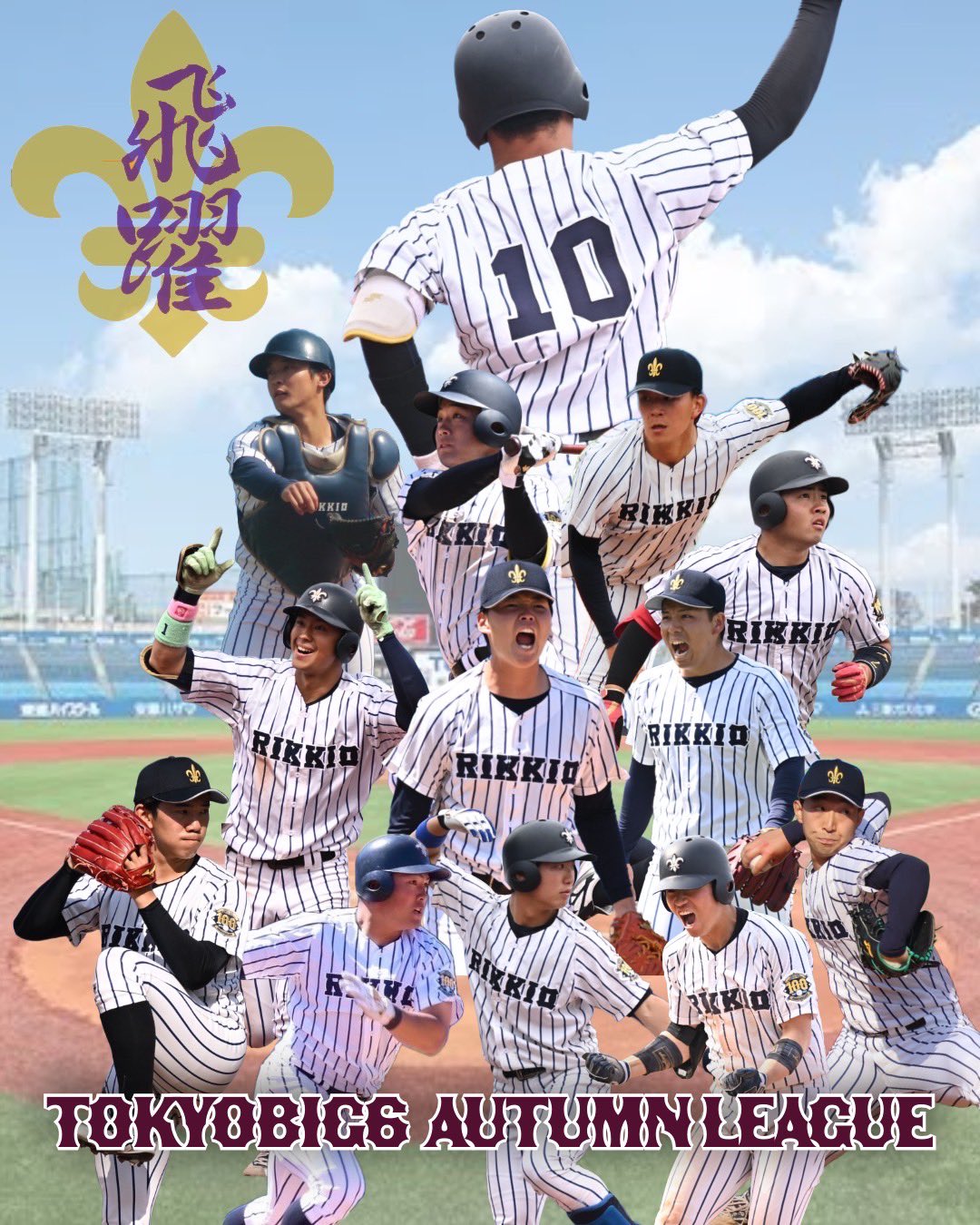 立教大学 1989 六大学野球 秋季リーグ優勝記念 ベースボールキャップ 当時物 立教大学 1989 六大学野球 秋季リーグ優勝記念 ベースボール