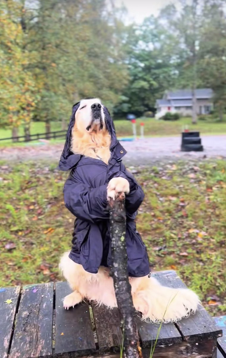 Me seeing all the hackers getting banned