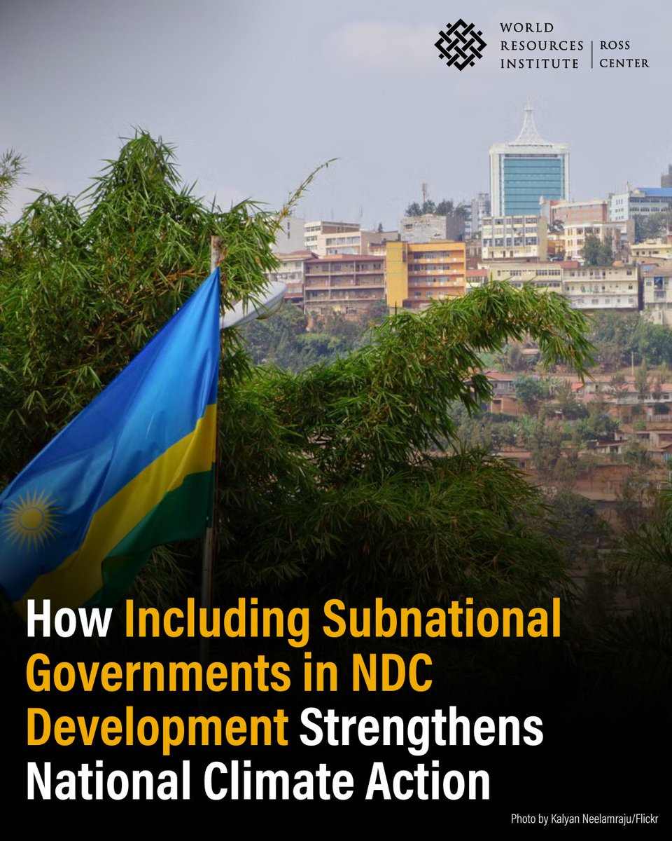 WRI Ross Center for Sustainable Cities (@wrirosscities) on Twitter photo Colombia ๐จ๐ด, Kenya ๐ฐ๐ช & Rwanda ๐ท๐ผ โ 3๏ธโฃ early endorsers of the Coalition for High Ambition Multilevel Partnerships (CHAMP) pledge โ are implementing unique strategies to strengthen subnational participation in NDC development ahead of #COP30. Learn more โก๏ธ bit.ly/40JvdNg Colombia ๐จ๐ด, Kenya ๐ฐ๐ช & Rwanda ๐ท๐ผ โ 3๏ธโฃ early endorsers of the Coalition for High Ambition Multilevel Partnerships (CHAMP) pledge โ are implementing unique strategies to strengthen subnational participation in NDC development ahead of #COP30. Learn more โก๏ธ bit.ly/40JvdNg