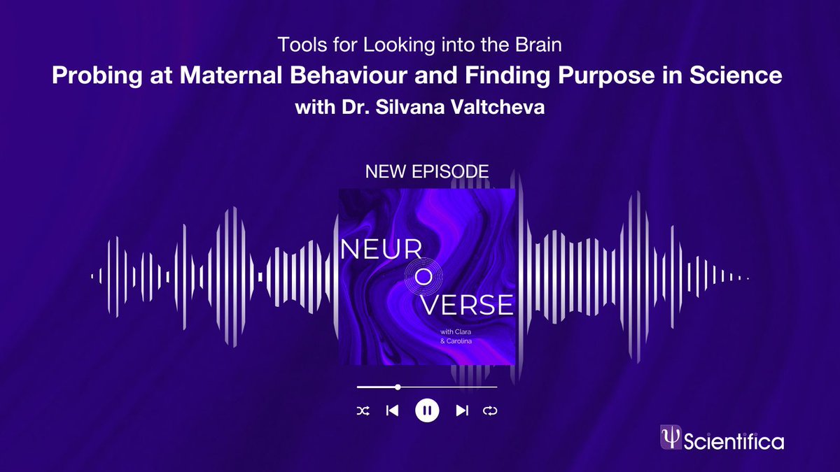 Scientifica (@scientifica_int) on Twitter photo 🎙️ Dr. <a href="/SValtcheva/">Silvana Valtcheva</a> (Max Planck Institute, <a href="/UniCologne/">Universität zu Köln</a>) shares how she built her lab, her research into maternal behaviour, and the role of motivation and meaning in #science—on <a href="/Neuroverse_Pod/">Neuroverse</a>.
🔗 Listen now: : buff.ly/JVwfaUI 🎙️ Dr. <a href="/SValtcheva/">Silvana Valtcheva</a> (Max Planck Institute, <a href="/UniCologne/">Universität zu Köln</a>) shares how she built her lab, her research into maternal behaviour, and the role of motivation and meaning in #science—on <a href="/Neuroverse_Pod/">Neuroverse</a>.
🔗 Listen now: : buff.ly/JVwfaUI