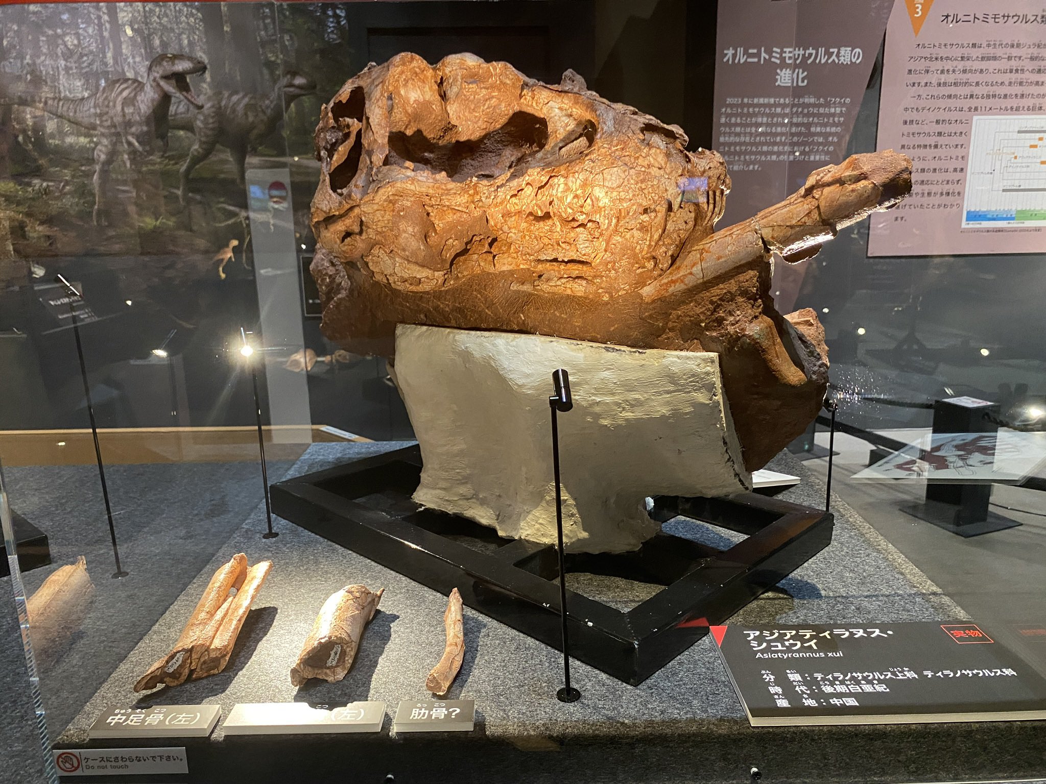 【中古】 生命の全体性の実現 新しい時代をひらく/ＵＮＩＯ/大森元博 26809_WBG_KV_2.jpg