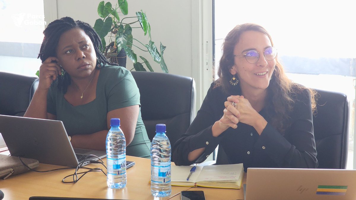 Agence Nationale des Parcs Nationaux (@parcs_gabon) on Twitter photo 📊Revue à mi-parcours des composantes 1 & 2 du projet #CAFI3.
Objectif : évaluer les actions menées, ajuster la stratégie et lever les blocages pour une mise en œuvre efficace du #VerdissementUrbain & du #JardinBotanique à LBV.🤝<a href="/Parcs_Gabon/">Agence Nationale des Parcs Nationaux</a>, <a href="/undpgabon/">PNUD GABON</a>, <a href="/unescolbv/">UNESCO LIBREVILLE</a> #CAFI 📊Revue à mi-parcours des composantes 1 & 2 du projet #CAFI3.
Objectif : évaluer les actions menées, ajuster la stratégie et lever les blocages pour une mise en œuvre efficace du #VerdissementUrbain & du #JardinBotanique à LBV.🤝<a href="/Parcs_Gabon/">Agence Nationale des Parcs Nationaux</a>, <a href="/undpgabon/">PNUD GABON</a>, <a href="/unescolbv/">UNESCO LIBREVILLE</a> #CAFI