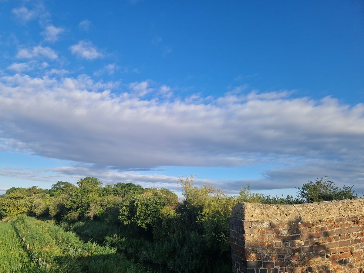 tracehodge17's tweet photo. Late posting, but enjoyed a little lie in & a fabby #6amclub 1.2mile run & canal walk; just did a gentle plod after sports massage last night! Legs felt pretty good & a stunning morning! #ukrunchat #running #dayoff #nature #favplace @CanalRiverTrust โค๏ธ๐โโ๏ธ๐ https://t.co/akWdUGEb1t