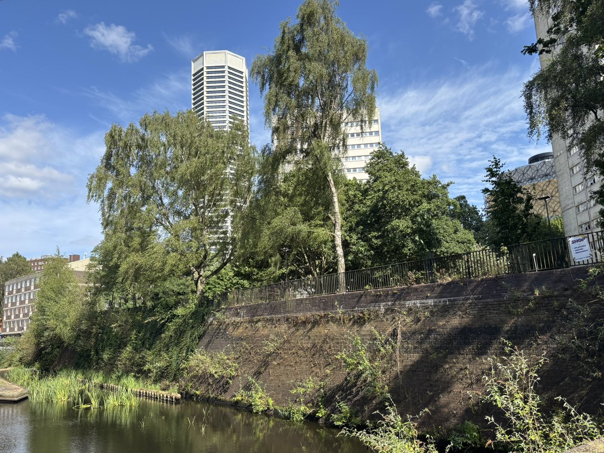 Chris Millward Jnr (@chris4patches) on Twitter photo How does Brum unlock its full potential through nature?
My piece for <a href="/westmidnews/">West Midlands News</a> after Birmingham is crowned as the UK’s first Nature City:
westmidlands.news/brum-uks-first… How does Brum unlock its full potential through nature?
My piece for <a href="/westmidnews/">West Midlands News</a> after Birmingham is crowned as the UK’s first Nature City:
westmidlands.news/brum-uks-first…