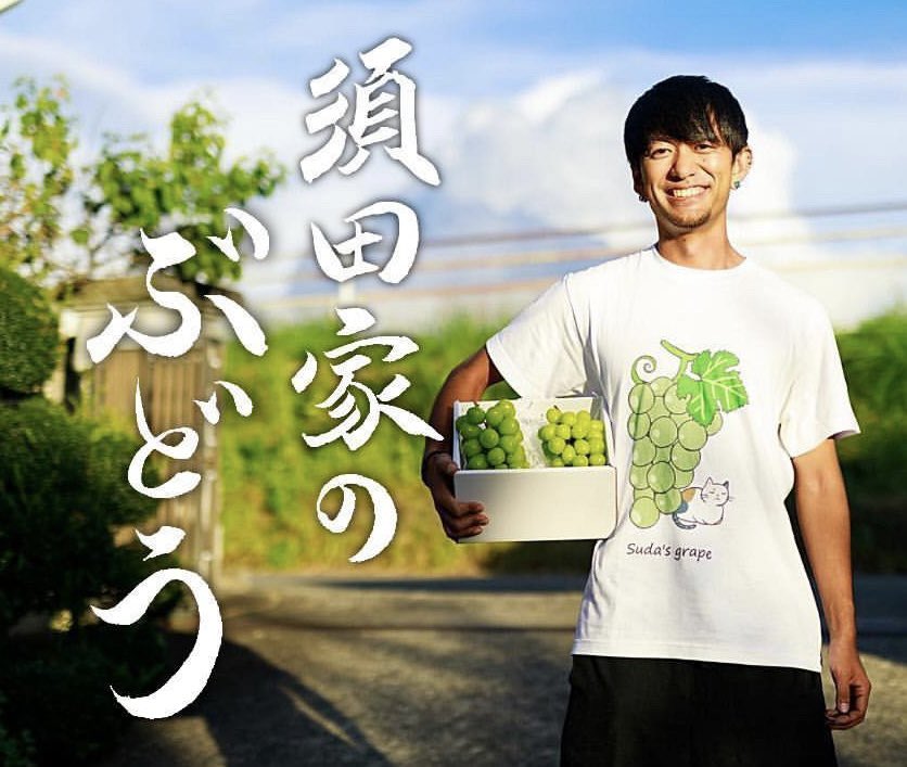 sudatch's tweet photo. 須田家のぶどう
「シャインマスカット2025」

予約販売を開始しました✨
食べると口の中でふわっと広がる甘さと香りは、絶品✨

贈り物や、プレゼントにもオススメ！
8月後半くらいから順次発送していきます🚚💨

須田家のぶどうで素敵なひとときを☺️
https://t.co/VbjXmjXQ36 https://t.co/OJPrm6UIa6