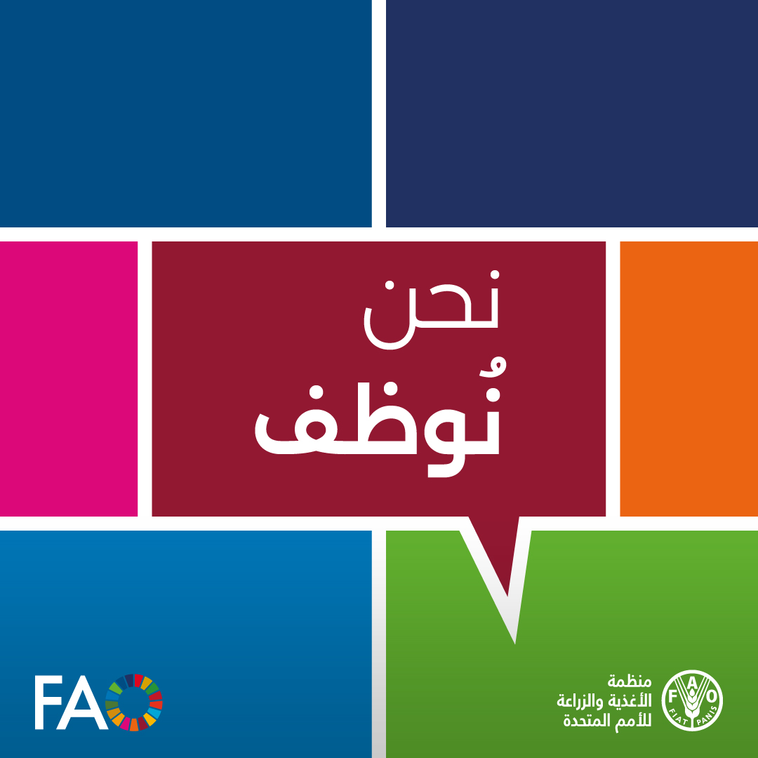 تعمل <a href="/FAO/">Food and Agriculture Organization</a> على التحول المستدام لنظم الأغذية الزراعية من أجل إنتاج أفضل، وتغذية أفضل، وبيئة أفضل وحياة أفضل، دون ترك أي شخص يتخلف عن الركب

هل تود الانضمام إلينا؟

المزيد من الوظائف الشاغرة⏬
 bit.ly/35NF0ba
#UNJobs #FAOjobs