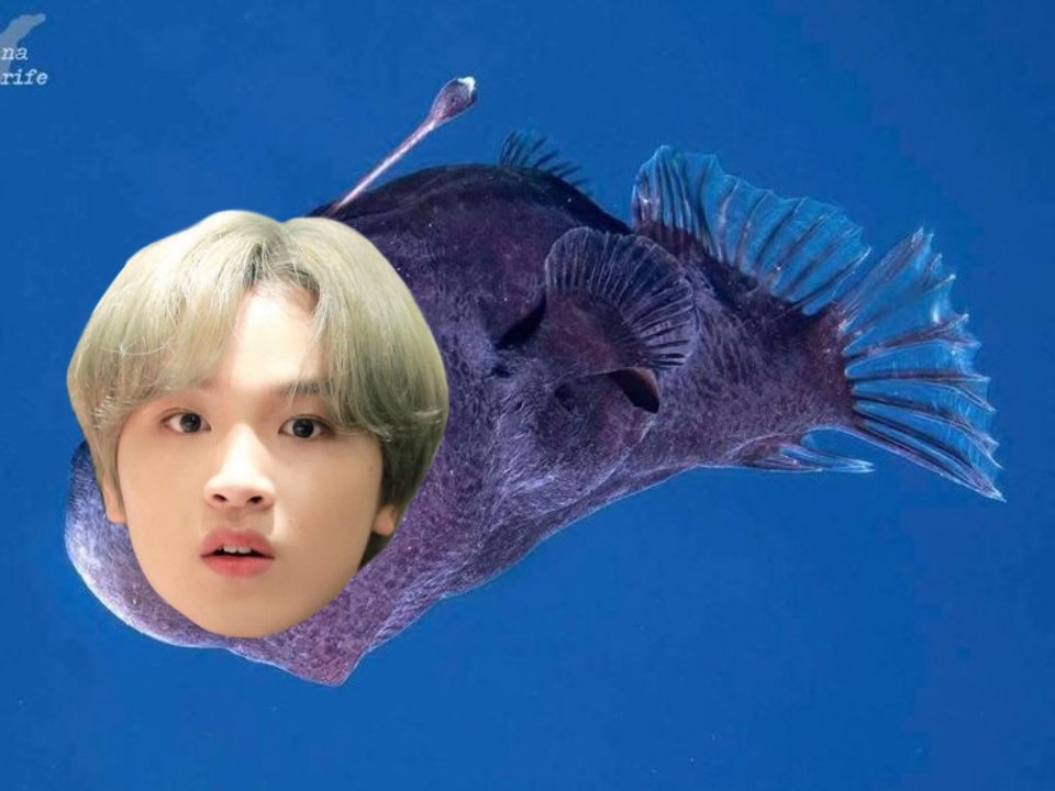 HC. 𓄢 tweet media