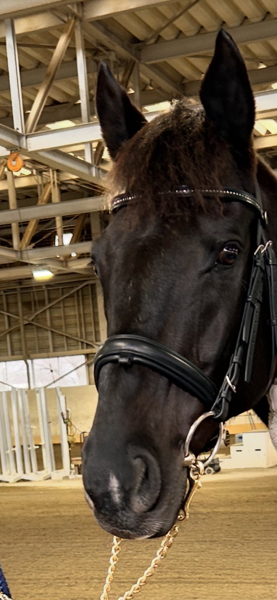 カンナ (@61kanna3) / X