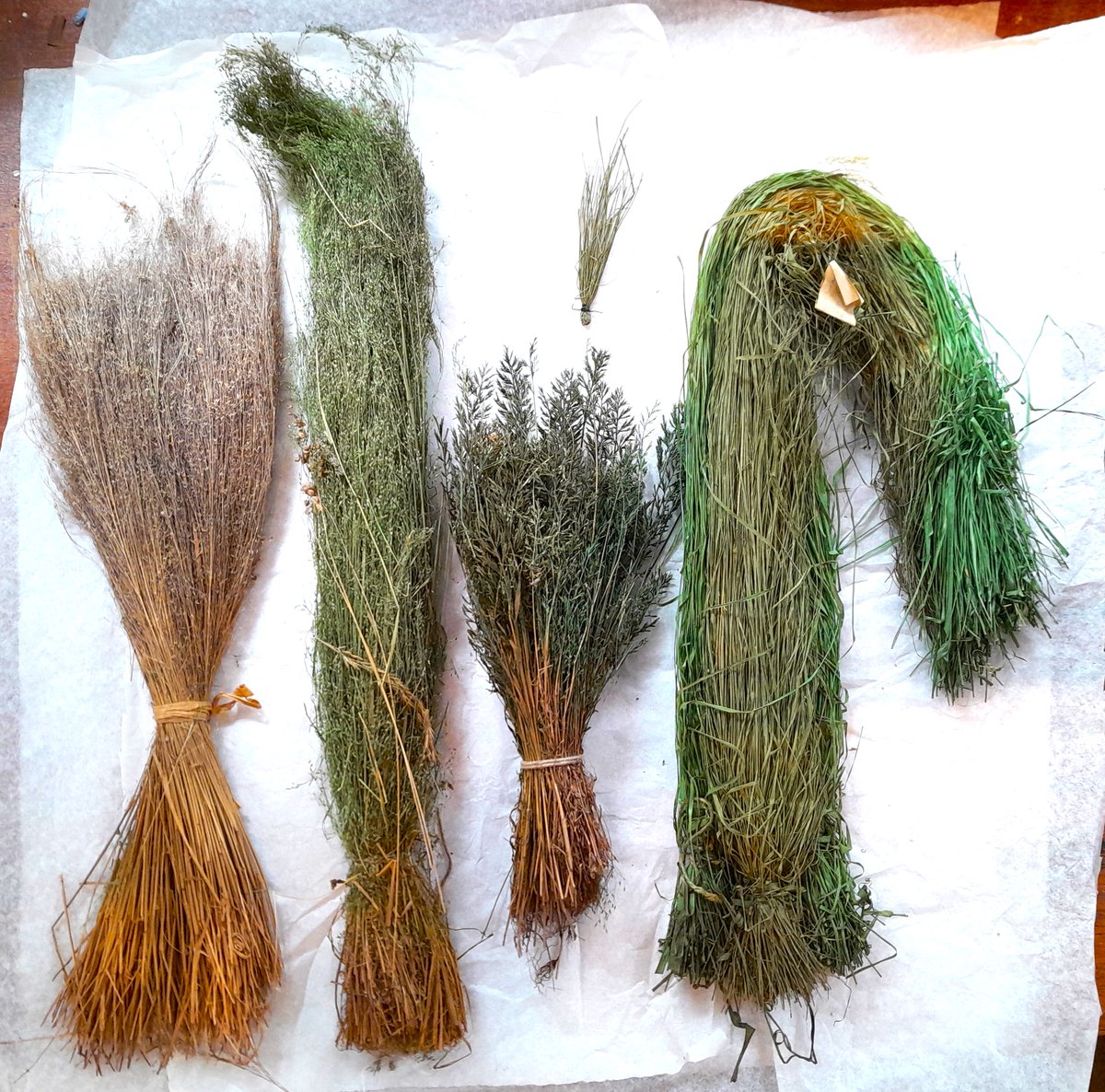 ConservationBob's tweet image. Ipswich Museum Conservation.  Bundles of grass in an old corset box. Grass labelled Nov 18th 1901.  Box cleaned and conserved and grass repacked in acid free tissue. A new Correx box was made to contain the corset box and grass.