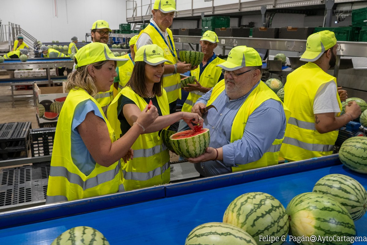 Ayuntamiento de Cartagena (@aytocartagenaes) on Twitter photo 🍈🍉#Cartagena confirma su liderazgo en la exportación de sandía con <a href="/jimbo_fresh/">JimboFresh</a> como empresa clave del sector.
🫱🏼🫲🏽La alcaldesa y la consejera de Agua visitan la cooperativa, donde han reclamado un Pacto de Estado por el agua.
ℹ️cartagena.es/detalle_notici… 🍈🍉#Cartagena confirma su liderazgo en la exportación de sandía con <a href="/jimbo_fresh/">JimboFresh</a> como empresa clave del sector.
🫱🏼🫲🏽La alcaldesa y la consejera de Agua visitan la cooperativa, donde han reclamado un Pacto de Estado por el agua.
ℹ️cartagena.es/detalle_notici…