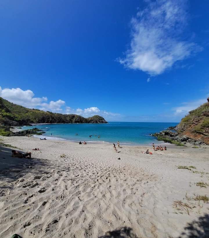 Gianluca Cocconcelli Cavalli (@gianlucacoccon1) on Twitter photo Fantástica
Playa CARE-CARE o también conocida como LA PROPIA ubicada entre Manzanillo y Playa Caribe …isla de Margarita
🇻🇪🇻🇪🇻🇪🇻🇪🇻🇪🇻🇪🇻🇪🇻🇪🇻🇪🇻🇪🇻🇪
<a href="/venezuelaenfoto/">Venezuela en Foto</a> Fantástica
Playa CARE-CARE o también conocida como LA PROPIA ubicada entre Manzanillo y Playa Caribe …isla de Margarita
🇻🇪🇻🇪🇻🇪🇻🇪🇻🇪🇻🇪🇻🇪🇻🇪🇻🇪🇻🇪🇻🇪
<a href="/venezuelaenfoto/">Venezuela en Foto</a>