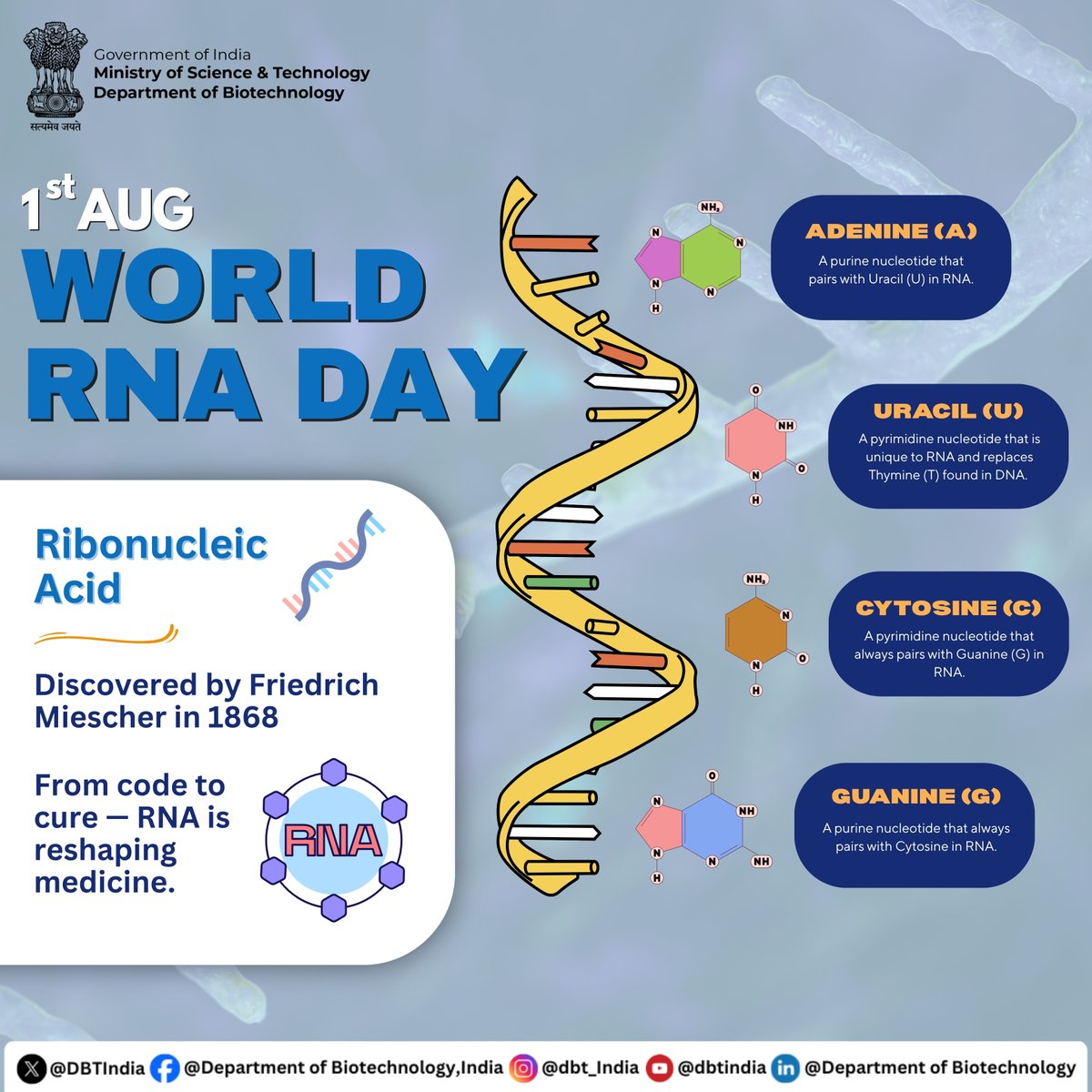 Celebrating the molecule at the heart of life and innovation — RNA!

On  World RNA Day 2025, we spotlight RNA’s pivotal role in shaping the  future of medicine — today we highlight its vital role in biology and  its growing importance in modern medicines like mRNA vaccines, RNA
