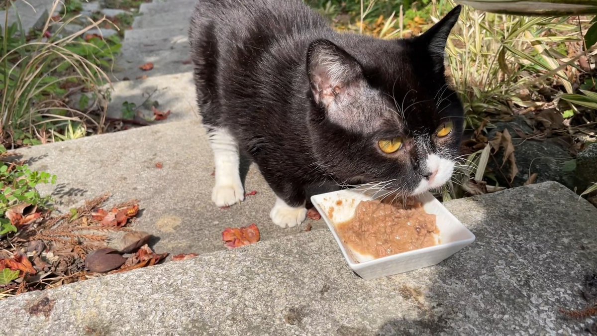 もんた様　確認用