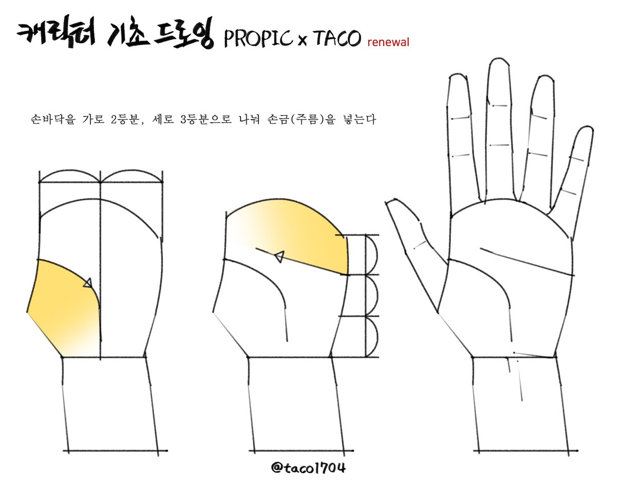 손바닥을 가로 2등분, 세로 3등분으로 나눠 손바닥 주름을 넣는다 
手のひらを横2等分、縦3等分に分けて手のひらのしわを入れる 