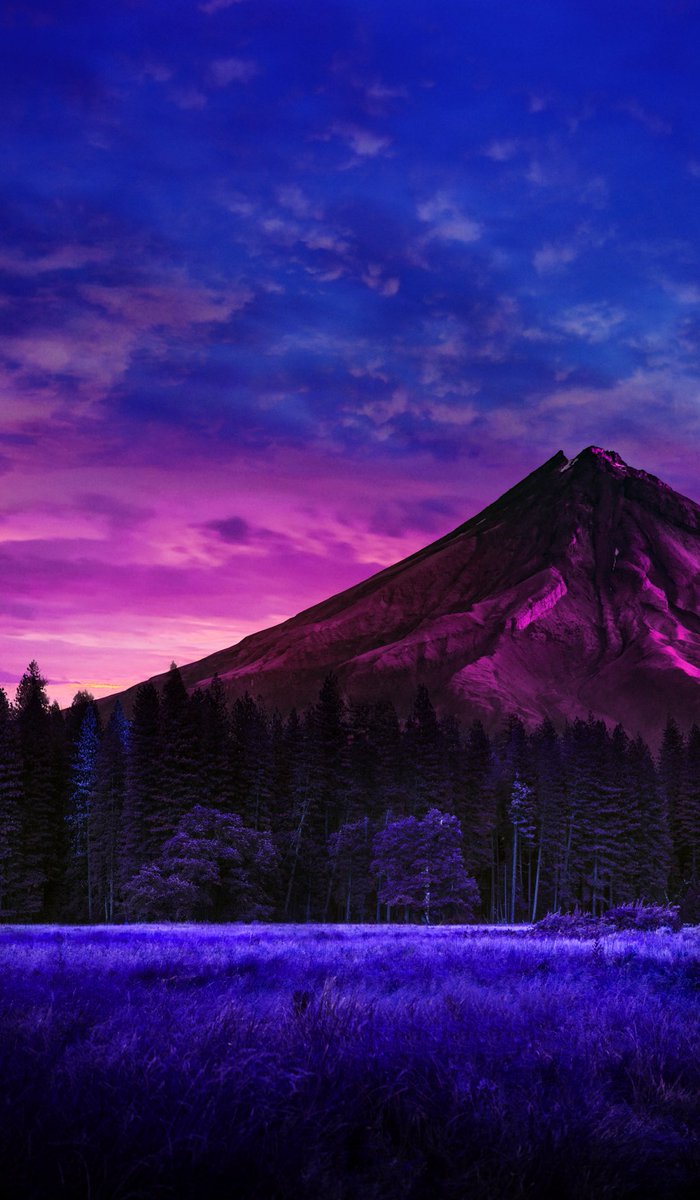 zen Design (@xzendesign) on Twitter photo 