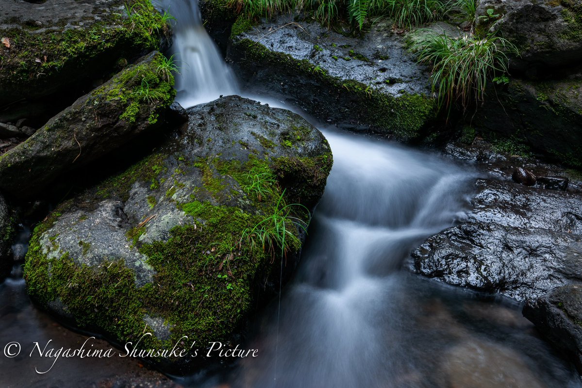Nikon レンズテスト
今回はAF-S 17-35 F2.8を使用。
#kani_filter #leofoto #写真好きな人と繋がりたい #渓谷 #レンズ #Nikon #D3X #九州 #熊本県 #交換レンズ #NIKKOR #広角レンズ