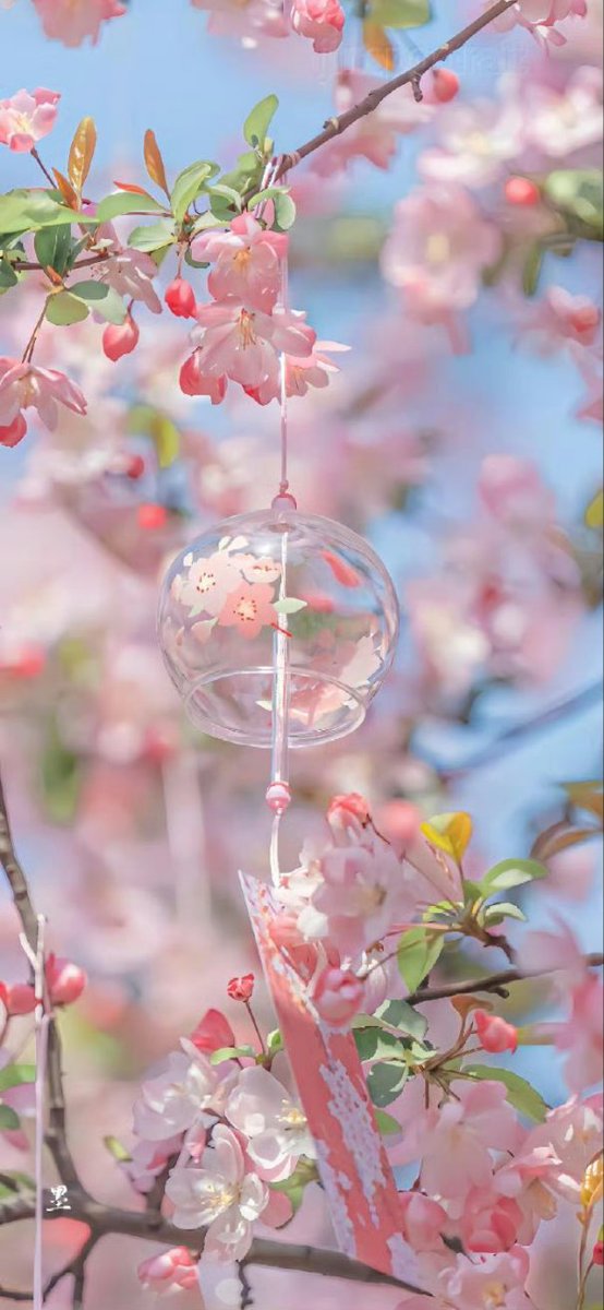 永远为美好的事物心动#互关互赞#