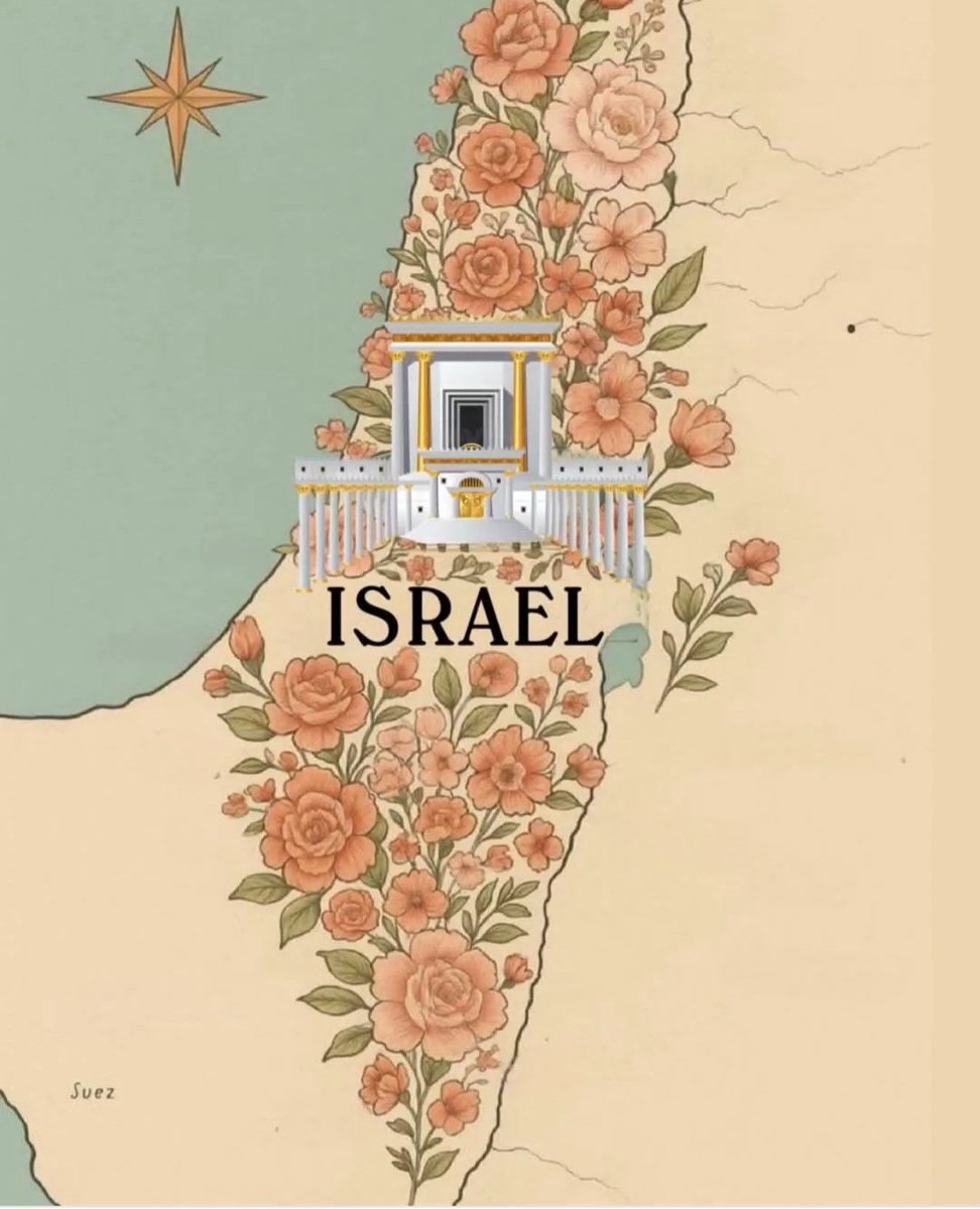 Elay Deniz S.Bağdat tweet media