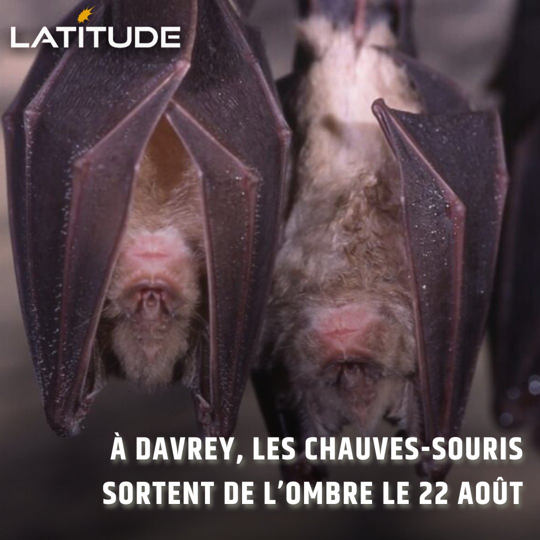 latitudeoff's tweet photo. https://t.co/7TRnFWnRlI

© Parc naturel régional de la Forêt d’Orient https://t.co/h0DJTeQvu2