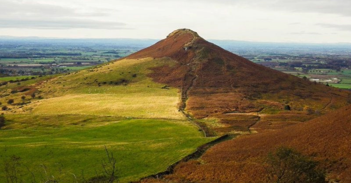 Cook Memorial Museum tweet media