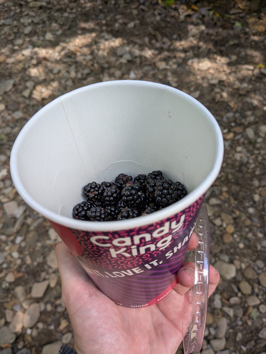 When you have to quickly finish your tub of sweets so you have a container for blackberrying